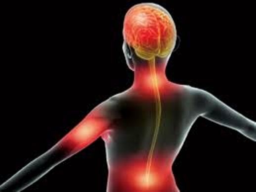  Mid-life chronic inflammation linked to cognitive decline: Study 