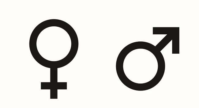  What causes behavioural differences in males, females 