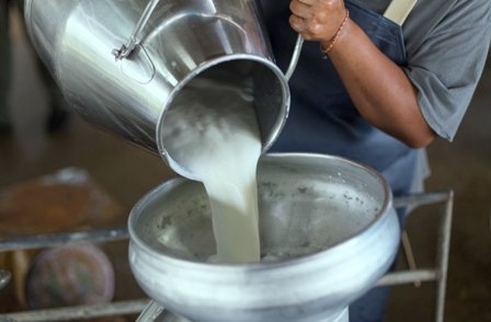 Milk companies to no longer be able to flirtation with your health