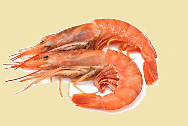 The heart of a shrimp is located in its head!