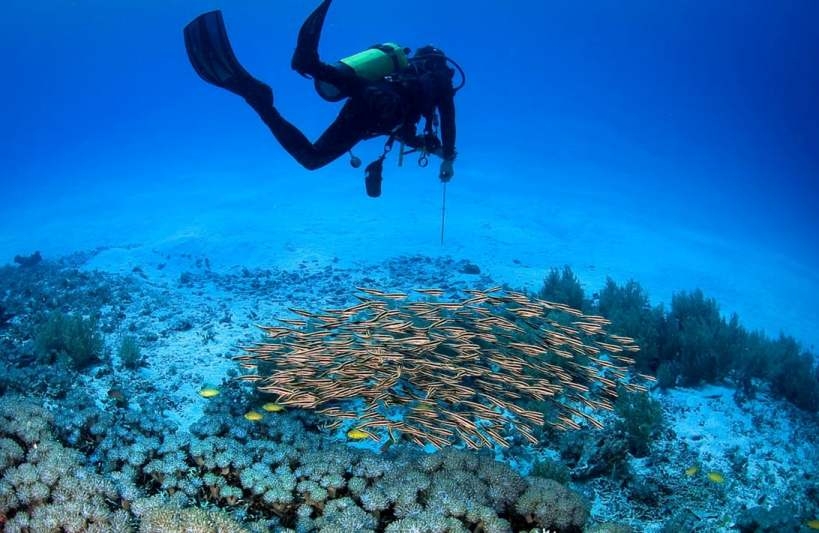 Bali: Idle for Scuba Diving Enthusiasts