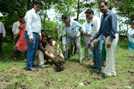 Peepal plantation program in People's University on the auspicious occasion of Guru Purnima