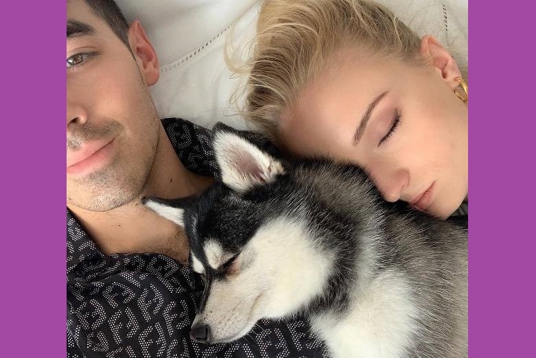 An accident puts newlyweds Joe Jonas and Sophie Turner into trauma   