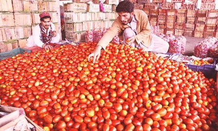 Imran Khan's 'decision' disturbs the people of Pakistan!