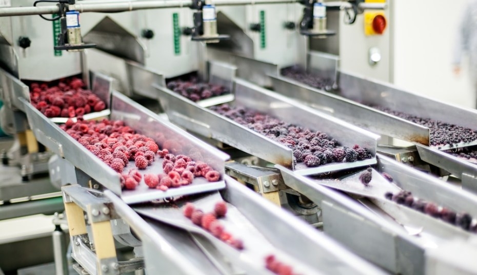 Food processing can be a goldmine for MP