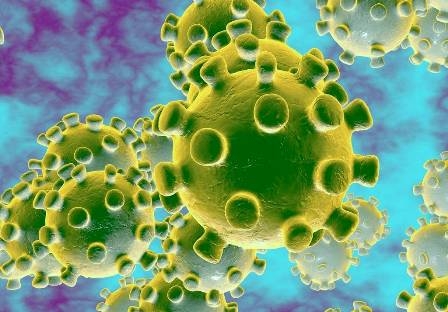Coronavirus lives alive on human skin for 10 minutes; wash hands before eating