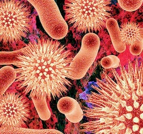 Do you know that not every virus proved dangerous?