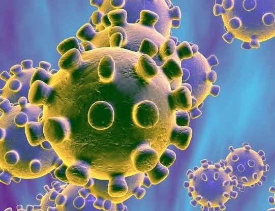 A research claims in France; Nicotine can cure the Coronavirus infection!