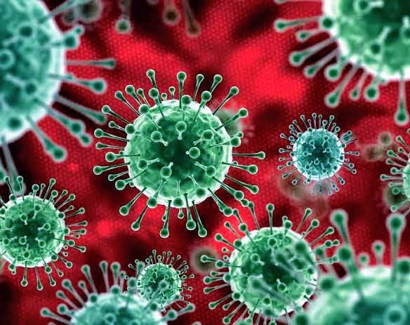 The position of India is significantly much better compared to many countries in the COVID-19 epidemic