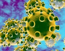 Scientists fear of spreading the Coronavirus infection from sewage through human feces