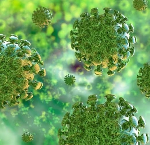 COVID-19 virus can be weakened gradually due to continuous mutations: Dr. Manjunath