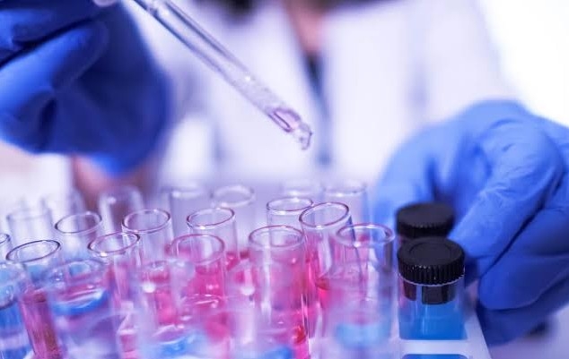 Focus on COVID-19 hits treatment of NCDs