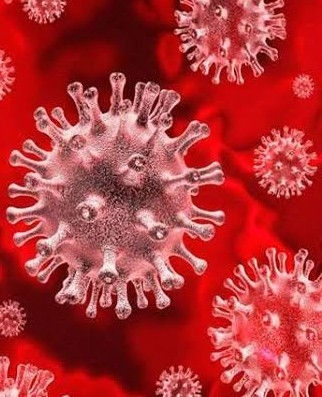 Know why Coronavirus becoming 'more dangerous'?
