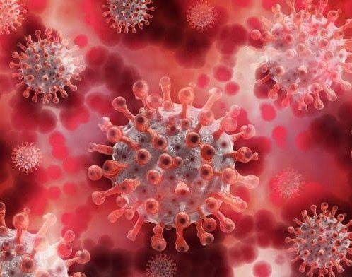So the Coronavirus infection epidemic to end never?