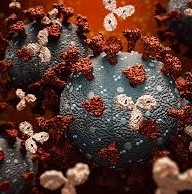 Research claims: Strong immune system is effective in preventing and fighting the Coronavirus