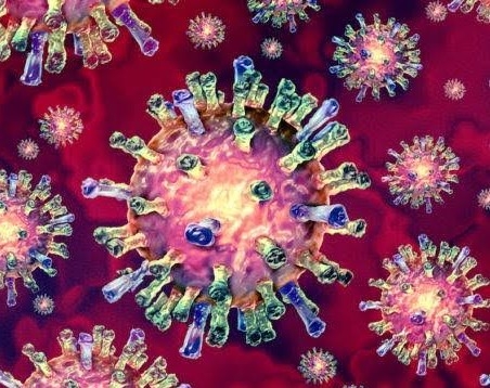 One of the reasons revealed for the delay in the making of the vaccines of Coronavirus due to 'this reason'!