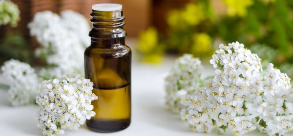 Soothing yarrow oil for all