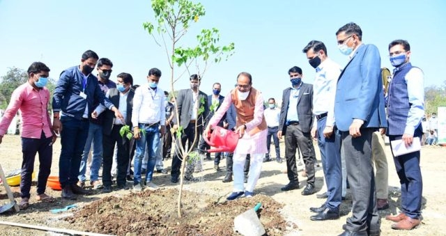 Chief Minister Chouhan plants Peepal sapling