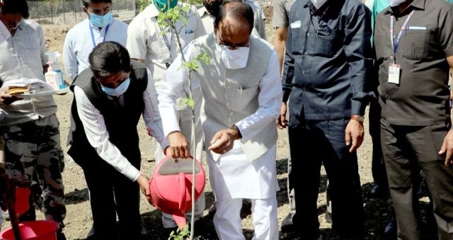 Extension of ‘green cover’ can save the world
