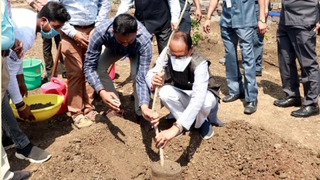 CM  Chouhan says tree plantation comforts soul