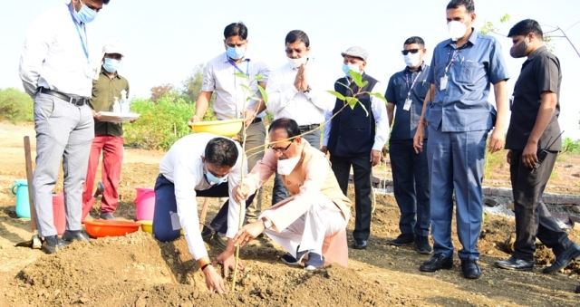 CM Chouhan plants sapling of Gular  
