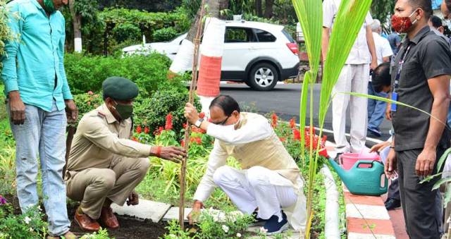 Chief Minister Chouhan plants Neem sapling