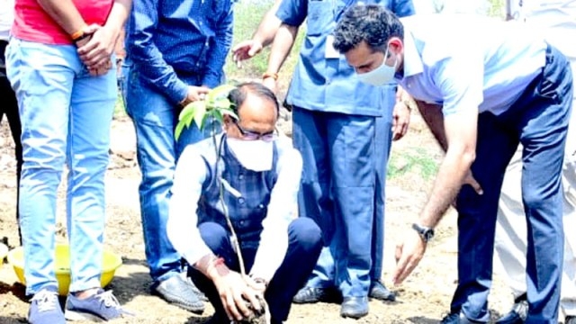 Chief Minister Chouhan planted mango plant