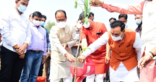 CM Chouhan plants banyan sapling