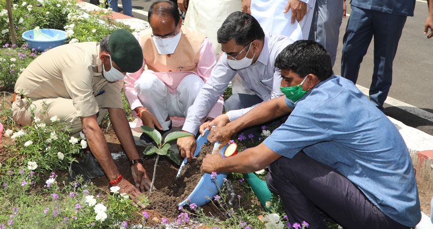 Banyan sapling planted in CM House premises
