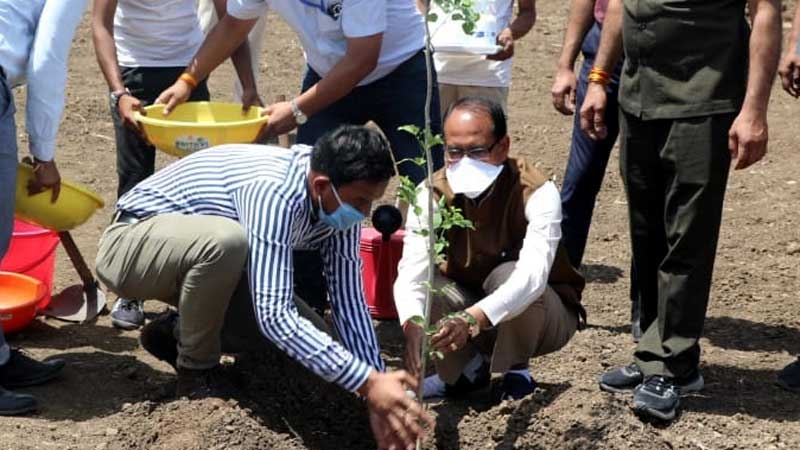 Planting a plant is like life for me: Chief Minister Chouhan