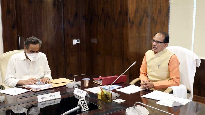 Cabinet approves Mukhya Mantri Covid-19 Anukampa Niyukti Yojana
