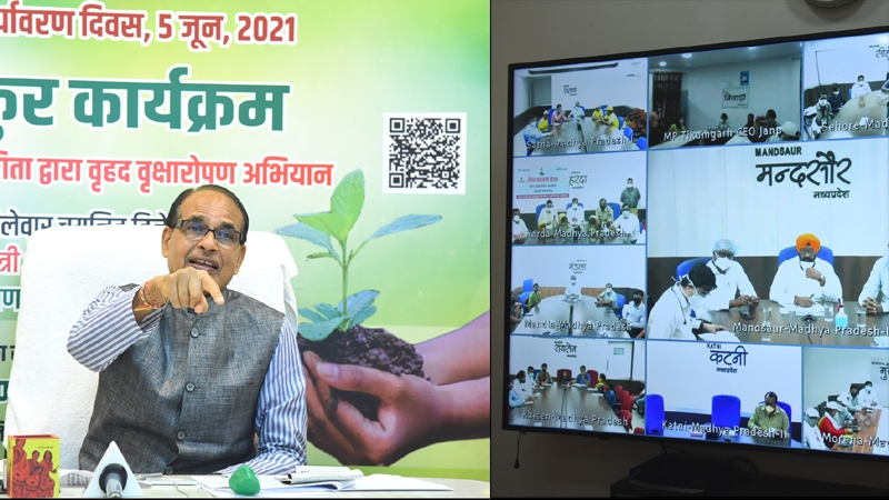 Building permission will be given only on planting saplings: CM Chouhan