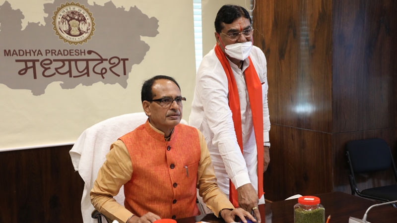 Moong procurement will start from June 15 – CM Chouhan