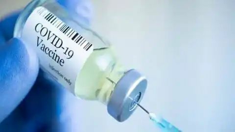Covid-19 vaccination of pregnant mothers of the state from July 23 : Health Minister Dr. Chaudhary