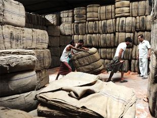  Dilution in jute packaging norms on the anvil 