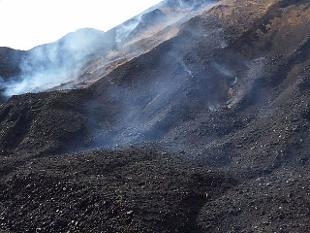  Coal India s production declines, sales grow in April 