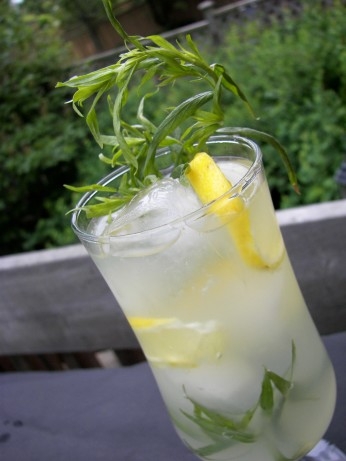 Tarragon Lemonade