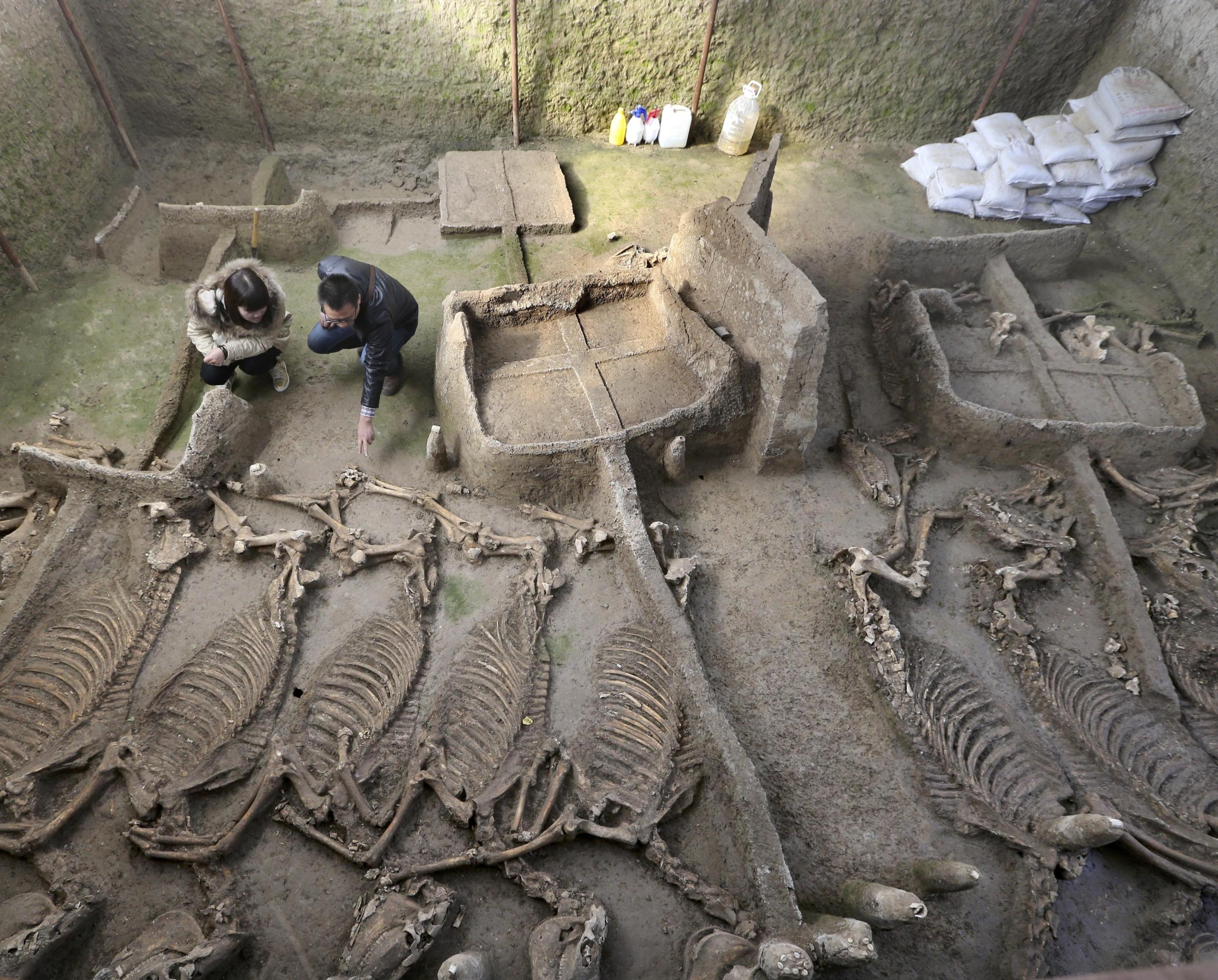  Ancient family tomb found in China 