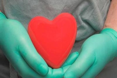  Ghaziabad woman s heart, other organs give life to four 