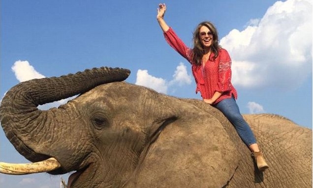  Elizabeth Hurley takes elephant ride 