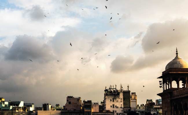  Partly cloudy sky on Thursday 