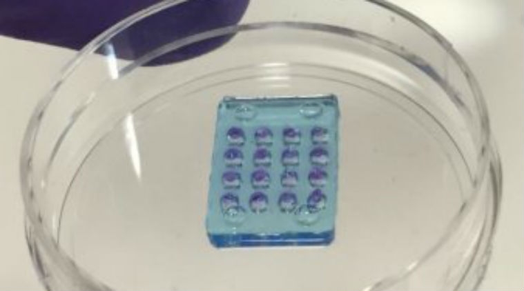  Researchers develop synthetic soft retina 