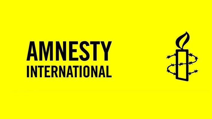  India doesn t walk the talk on human rights: Amnesty 