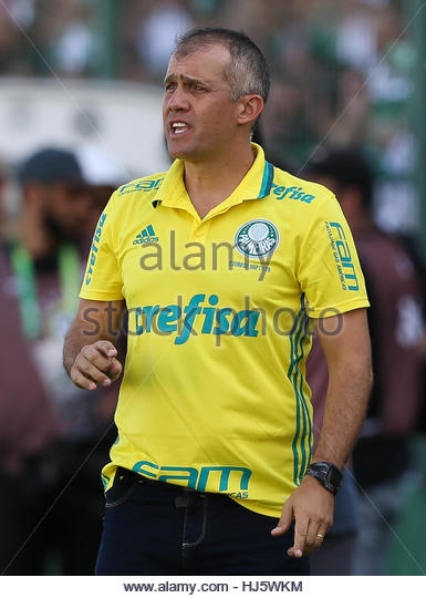  Brazilian champions Palmeiras sack coach Baptista 