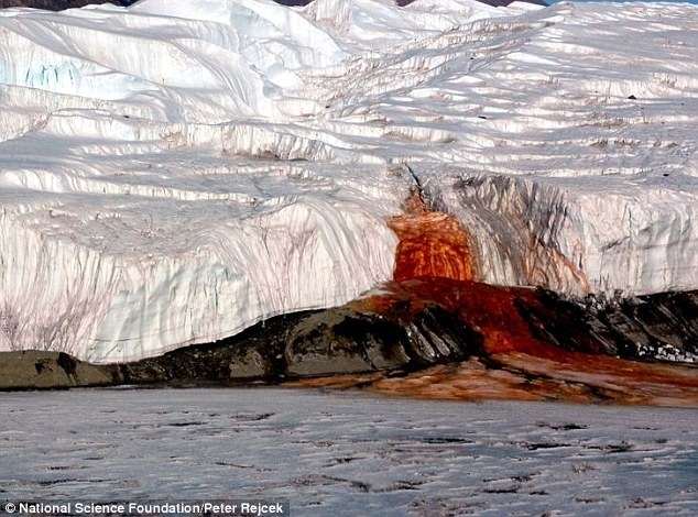  Researchers solve century-old mystery of Antarctica s red waterfall 