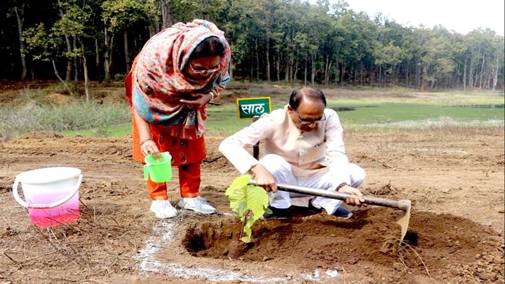 Chief Minister Chouhan sets a record by planting saplings for