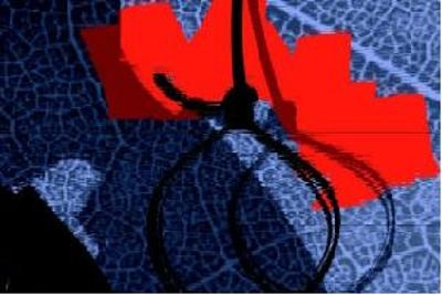  Woman commits suicide after tiff with live-in partner 
