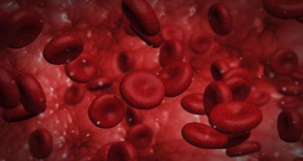  Prenatal diagnosis key to preventing new cases of thalassemia: Experts 
