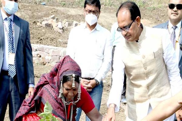 Chief Minister Chouhan planted Gulmohar and Peepal saplings in Smart Garden