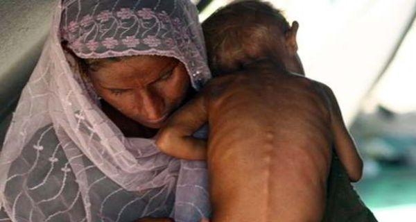  Only 1 in 10 children aged 6-23 months gets adequate diet 